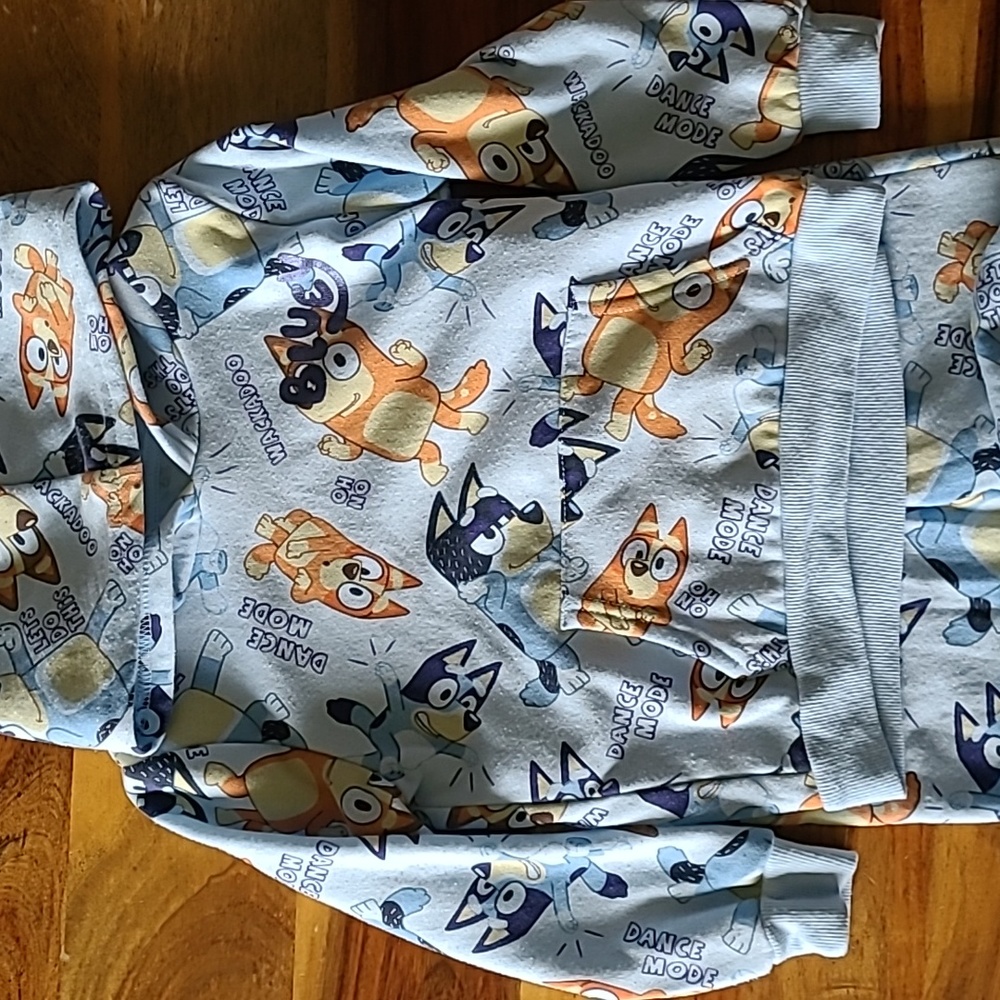 Bluey 4T hoodie and sweats